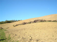 Meio Ambiente usa internet