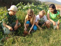 RB faz reflorestamento de áreas degradadas